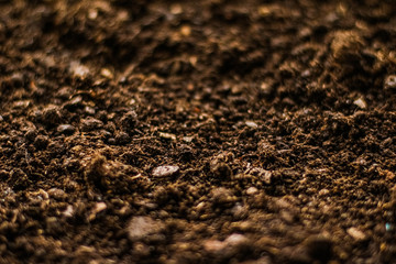Earth ground texture as background, nature and environment