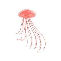 Red colorful ocean jellyfish with long dotted tentacle