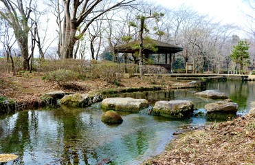 Fototapeta na wymiar 冬　池　風景　栃木県　真岡　井頭公園