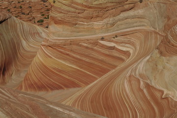 Obraz premium The Wave Rock formation, Arizona