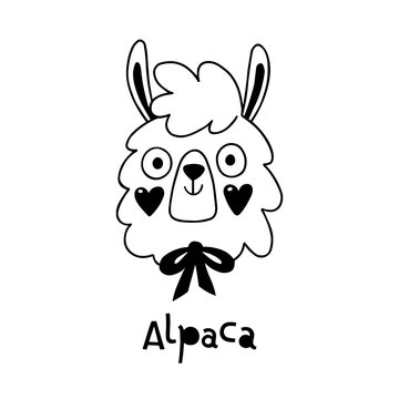 Avatar cute face alpaca portrait. Vector illustration in cartoon style