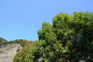 風景　山　湖　ダム