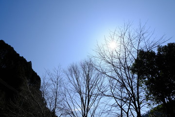 風景　山　湖　ダム