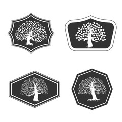 Modern plant or tree company logo template