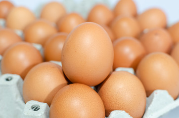 A lot of eggs put on tray on white background and one of these was broke