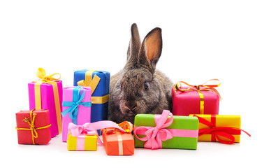 One brown rabbit with gifts.