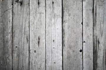 Fototapeta premium Wood background. Wood texture. Shabby old tree.