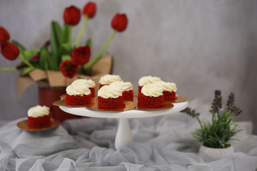 Beautiful festive cake biscuit with different creams