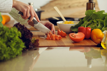 Unknown human hands cooking in kitchen. Woman slicing red tomatoes. Healthy meal, and vegetarian food concept