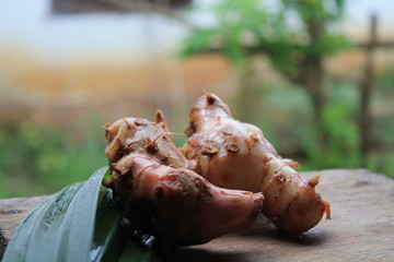 Galangal is a spice that is used for cooking spices