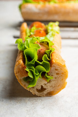 Tasty fresh hot dogs with grilled sausage, french mystard and fresh salad leaves on the rustic...