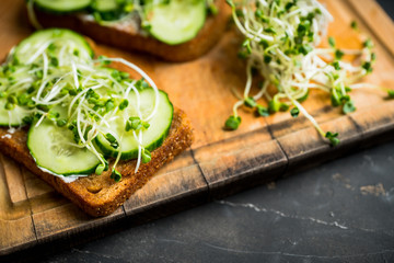Sandwich with cucumber, cheese and microgreens. Selective focus. Shallow depth of field.