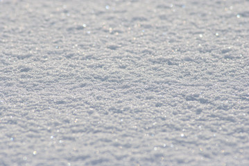 White snow texture. Winter. New Year.