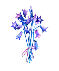 Watercolor boquet with wild flower. Summer colorfull illustration