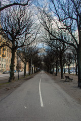 alley in the city park