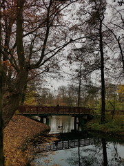 Parque en otoño