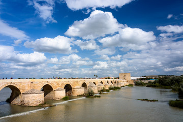 Fototapeta premium a guadalquivir view of cordoba, view of the roman bridge over the guadalquivir in cordoba. andalusia, spain