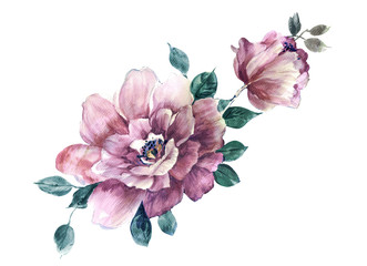 Flowers watercolor illustration.Manual composition.Big Set watercolor elements.