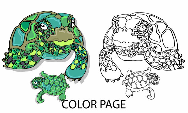 Coloring Book or Page Cartoon Illustration of Funny Turtle for Children