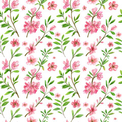 Fototapeta premium Watercolor Seamless Pattern, Cherry Blossoms Spring Branches with Leaves Isolated on White Background. Hand Drawn Illustration 