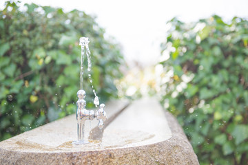 上を向いた蛇口