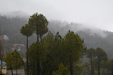 Beautiful view of trees and clouds covering mountains with fog and clouds in winter season