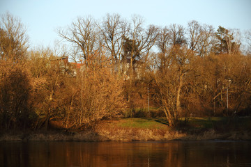 Fototapeta na wymiar Leafless trees with houses on bank of city river