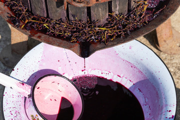 Wine making. Technology of wine production in Moldova. The  ancient folk tradition of grape...