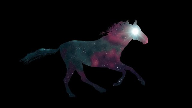 white horse running silhouette seamless loop new quality unique animation dynamic joyful 4k video stock footage