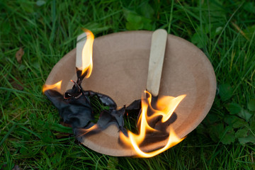 A paper plate is lying on the grass. There is a wooden spoon and fork on the plate. The fork and...