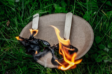 A paper plate is lying on the grass. There is a wooden spoon and fork on the plate. The fork and...