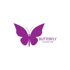 Beauty Butterfly Vector icon design