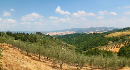 Fototapeta na wymiar Picturesque view of Tuscan valley with trees, olive gardens and villa on top of a hill. Italy.