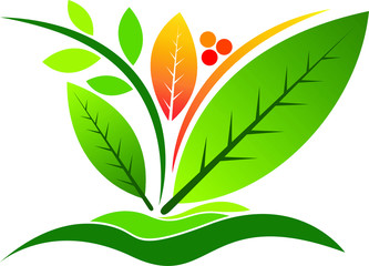 Green leaves logo