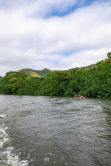 Wailua River Cruise & Grotto Tour takes you on a cruise down the Wailua River to the botanical beauty of Fern Grotto on Kauai.