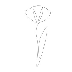 Flower silhouette line draw on white background vector illustration