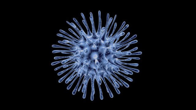 Corona virus 2019_nCov Wuhan. Viruses under microscope.nCoV respiratory virus, SARS, MERS, COVID 19. Bacteria virus or germs microorganism cells under microscope. 3d render. With alpha channel.