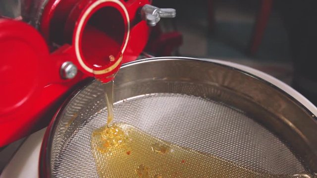 Honey flows from the extractor on the colander placed in a white bucket. Stream of fresh honey is leaking out from a centrifugal extractor into filter made of stainless steel grids, sieve. H.264 video