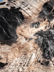 The scorched wooden background.