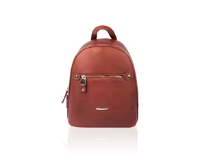 Women's brown leather bag isolated on white background