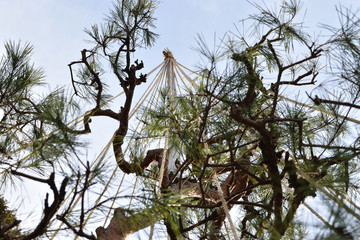 The name of snow measures in the Hokuriku region is 