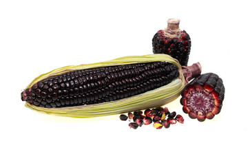 Fresh red corn isolated on white background. Grains of ripe corn with clipping path. (black corn, purple corn)