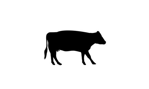 Cow symbol animal milk icon zoo ranch