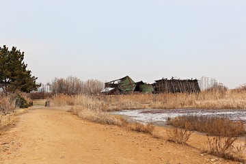 소래습지생태공원입니다