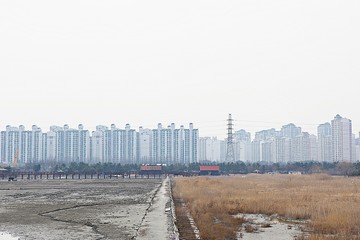 Fototapeta premium 소래습지생태공원입니다