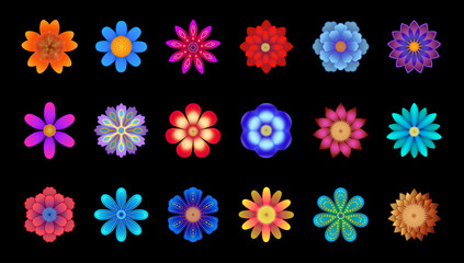 Fototapeta na wymiar flowers set isolated on black background, floral collection in different colors and different types, for banners, flyers, postcards etc...