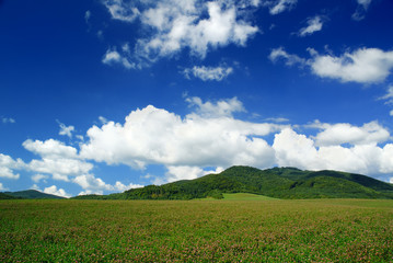 Obraz premium Landscape, view of green fields