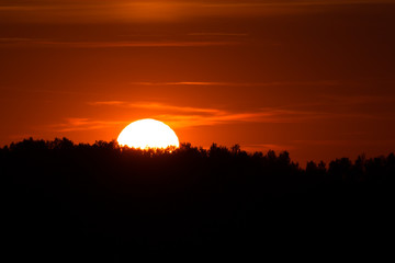 Part of the setting sun behind forest silhouette