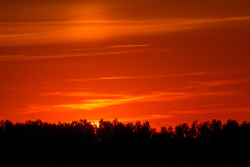 Fototapeta na wymiar Forest silhouette and red skies during a fiery sunset