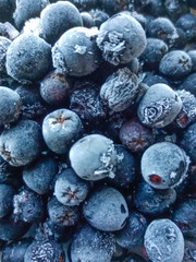 Fresh, sweet, large, healthy blueberries and chokeberry frozen.